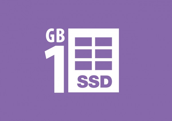 SSD Webhosting 1 GB