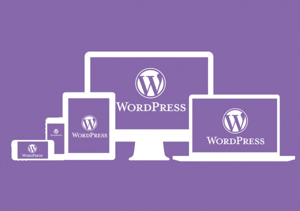 WordPress Webseite zum Festpreis