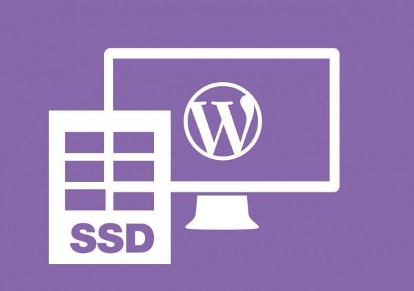 SSD WordPress Webhosting 1 GB + gratis *.de Domain