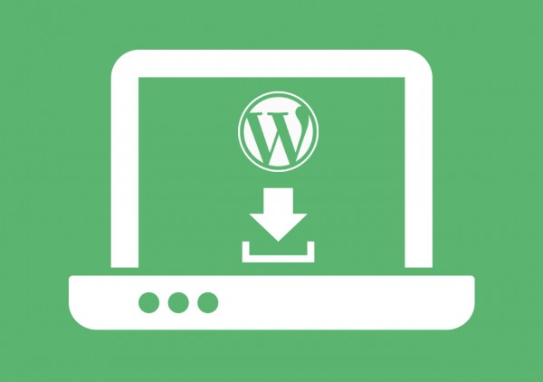 WordPress Plugin Installation